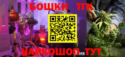 тгк Заводоуковск