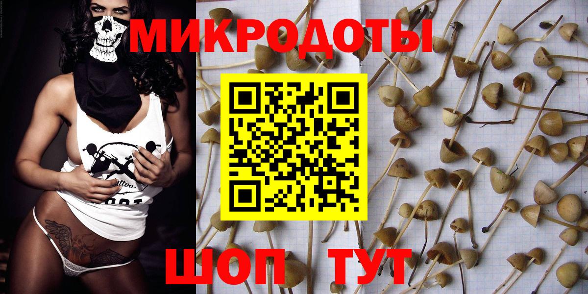 Галлюциногенные грибы MAGIC MUSHROOMS  Вход с VPN  Дальнереченск 