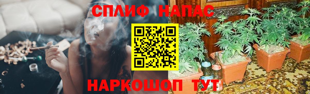Бошки Шишки SATIVA & INDICA Дальнереченск